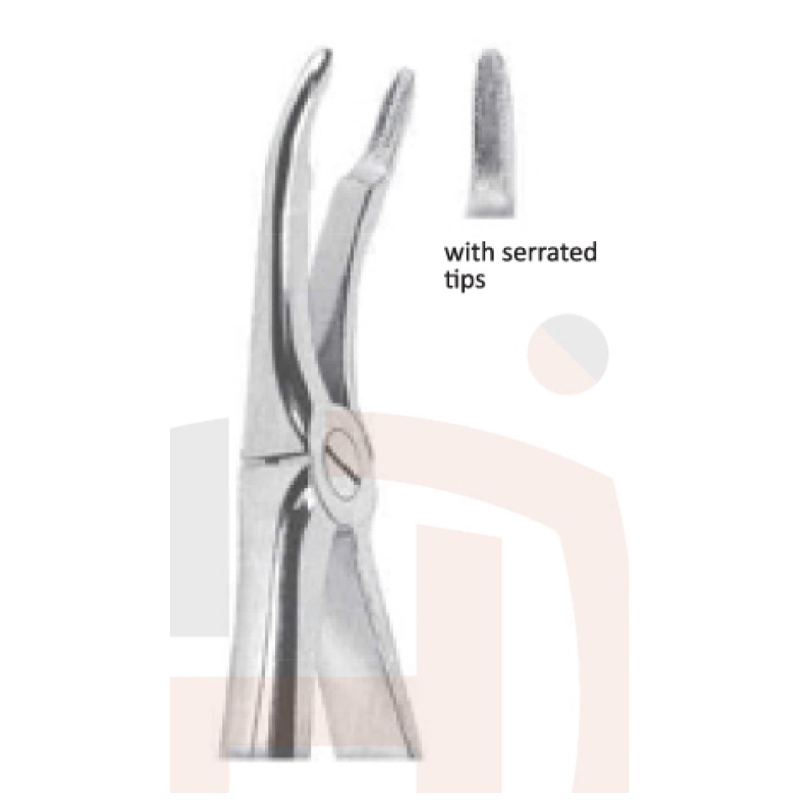 EXTRACTING FORCEPS